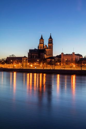 Magdeburg Cathedral at the blue hour
