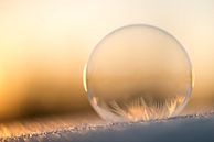 Ice-cold bubble by Gerry van Roosmalen thumbnail