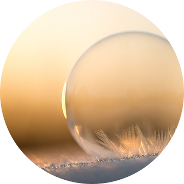 IJskoude bubbel van Gerry van Roosmalen