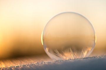 Ice-cold bubble