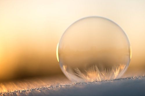 IJskoude bubbel
