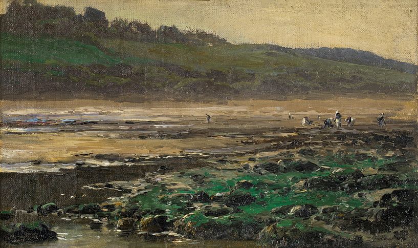 Carlos de Haes Collection de coquillages à marée basse au bord de la mer, Paysage antique par finemasterpiece