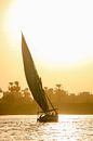 Felucca zeilboot op de Nijl, Egypte van The Book of Wandering thumbnail