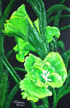 Groene Lelie Bloem van Floris Betrouw