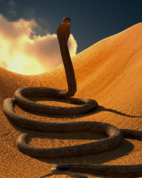 Landscape with snake by Kaylee Timmerman