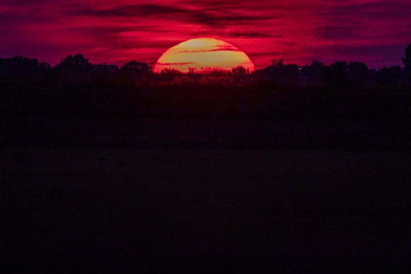 Ode an die Sonne von Erwin van Eekhout