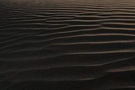 Paracas van Luc Buthker thumbnail