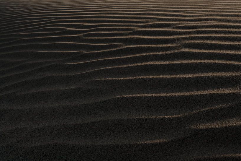 Paracas van Luc Buthker