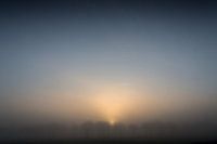 Just rising sun through the fog and trees