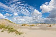 Duinen, zand, blauwe lucht en wolken op strand Ameland par Anja Brouwer Fotografie Aperçu