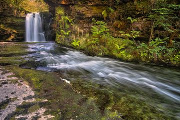 The fountain of life... by Sander Poppe