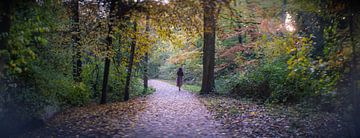 Vrouw in de herfst in bos op wandelpad in Amsterdams Bos van John Ozguc