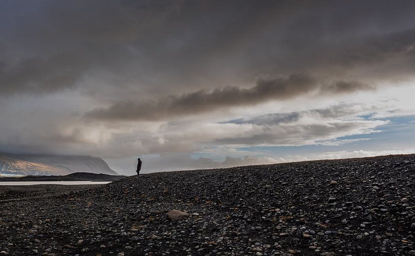 Staring into the distance by Tim Briers