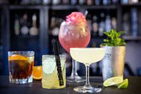 : Porträts von Cocktails