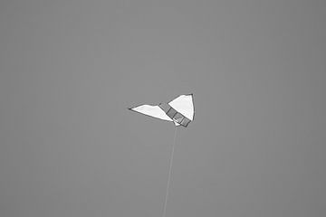 The Kite by Foto Studio Labie