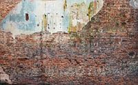 Alte Backsteinmauer Hochauflösende Vollbildkamera vr Fototapete 6 von Olivier Photography Miniaturansicht