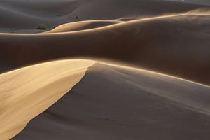 Sunset in the Sahara