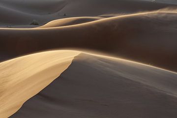 Zonsondergang in de Sahara van Walter G. Allgöwer