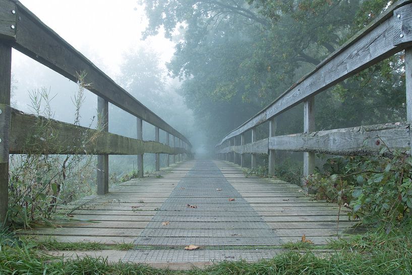 Into the mist von Art Wittingen