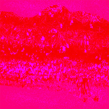Roze lucht
