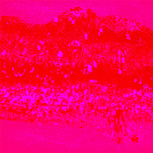 Pink Sky