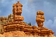 Bryce Canyon uitzicht met twee kleurrijke stenen pilaren van Jan van Dasler thumbnail