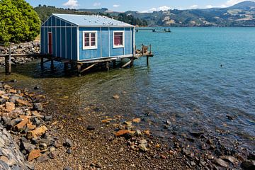Boothuis op palen aan Broad Bay op Otago peninsula van Niek