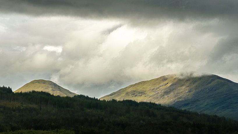 schottisches Hochland von Rene Wolf