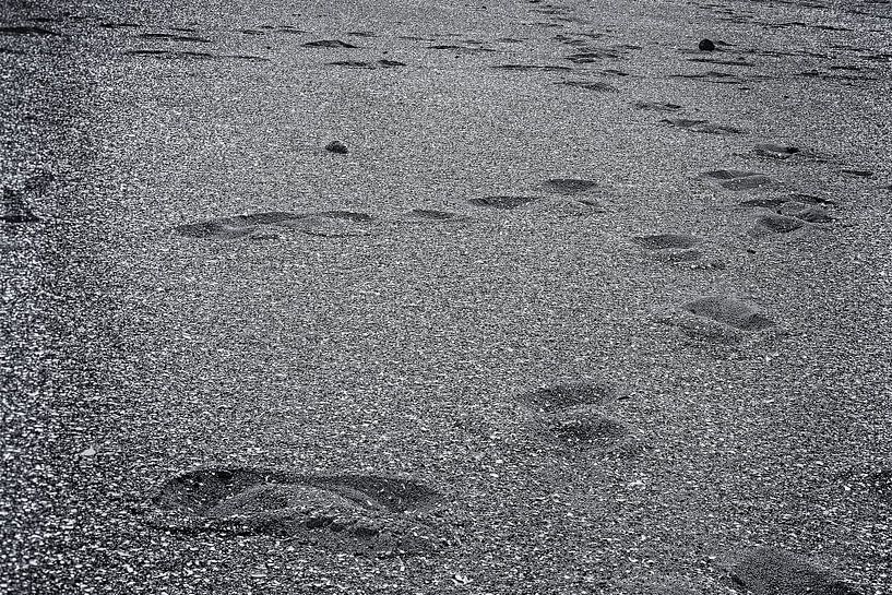strand van richard admiraal