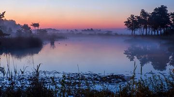 Frühmorgendliche Stille in den Haaksbergerveen von Peter Zendman