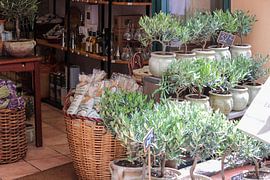 Boutique Saint Tropez