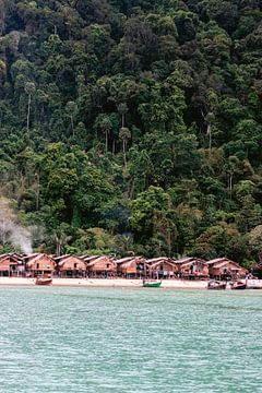 Thailand khao lak travel photography Surin island residents by Lindy Schenk-Smit