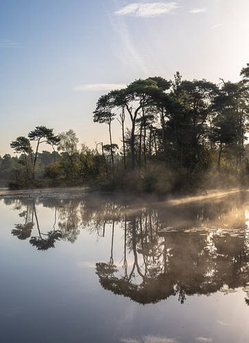 Oisterwijkse vennen part 1