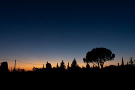 Wide Summer Sunset in France by Tom Clark
