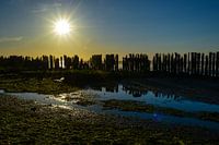 Zonsondergang bij Paesens Moddergat