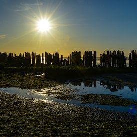 Zonsondergang bij Paesens Moddergat by Lisanne Bosch