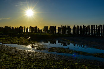 Zonsondergang bij Paesens Moddergat