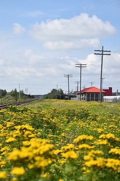 The train station in summer by Claude Laprise