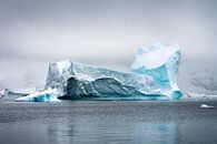 Antarctica 4 van Arjan Blok thumbnail