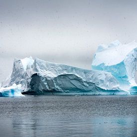 Antarctica 4 van Arjan Blok