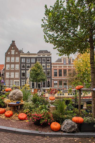 Amsterdam canals in autumn by Bianca Kramer