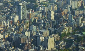 Tokio Stadsgezicht (Japan)