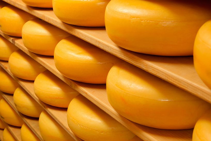 Hollandse kaas by gaps photography