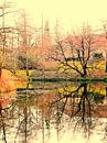 The Winter Lake Copenhagen by Dorothy Berry-Lound thumbnail