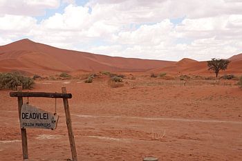 Wegweiser ins Nichts – Am Eingang zum Dead Vlei