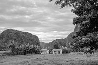 Viñales - Cuba