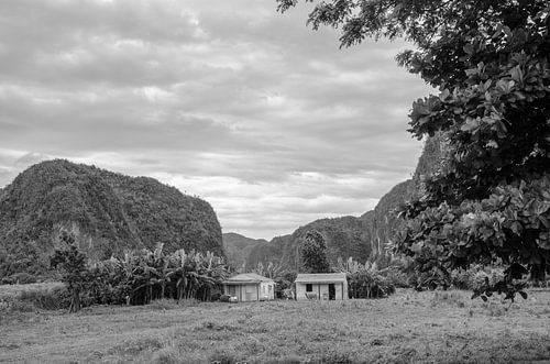 Viñales - Cuba