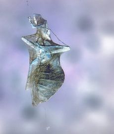 Negatief spinsel by Margreet Faber