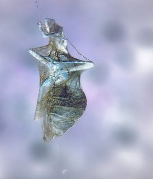 Negatief spinsel