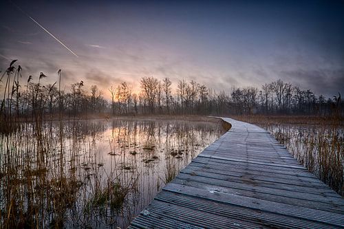 Sunrise at Beekbergerwoud